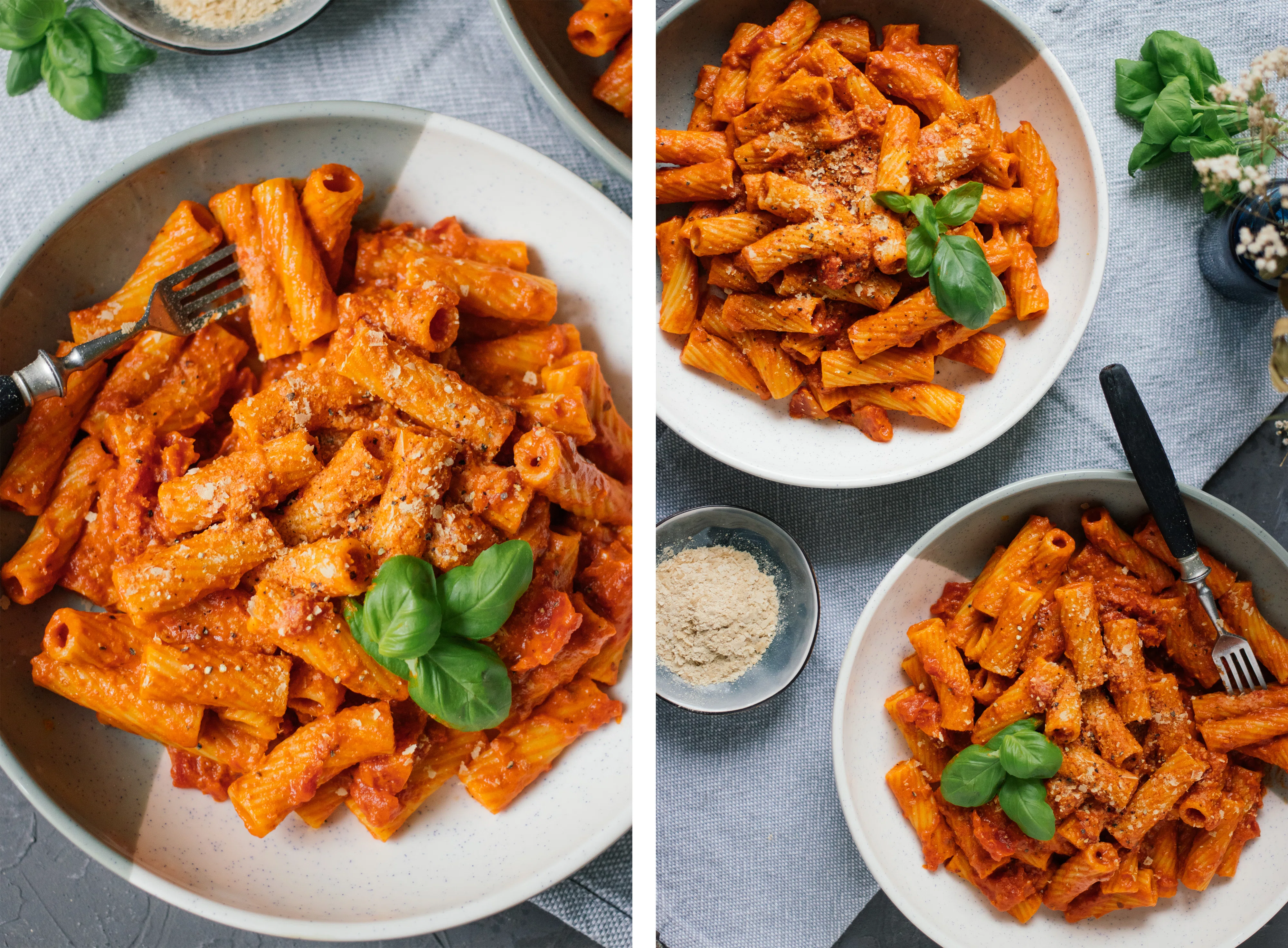 R466 Vegane Penne alla Vodka