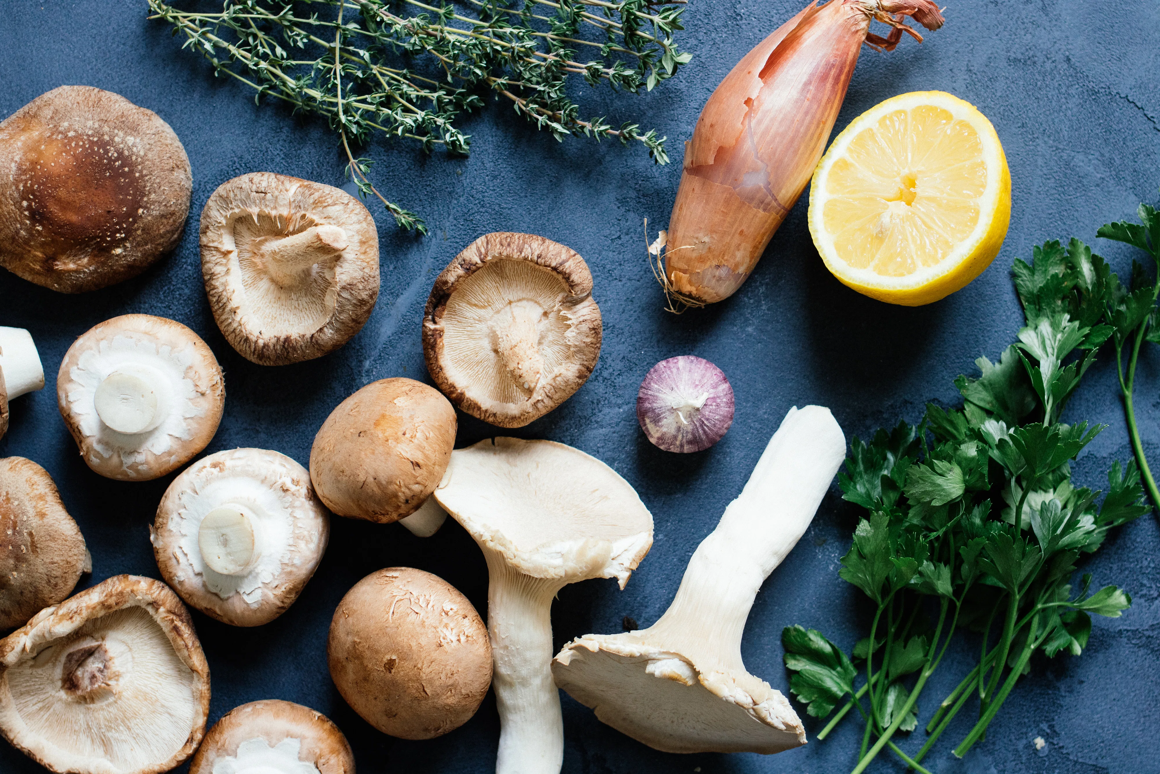 R211 Creamy Mushroom Ragout with Rice