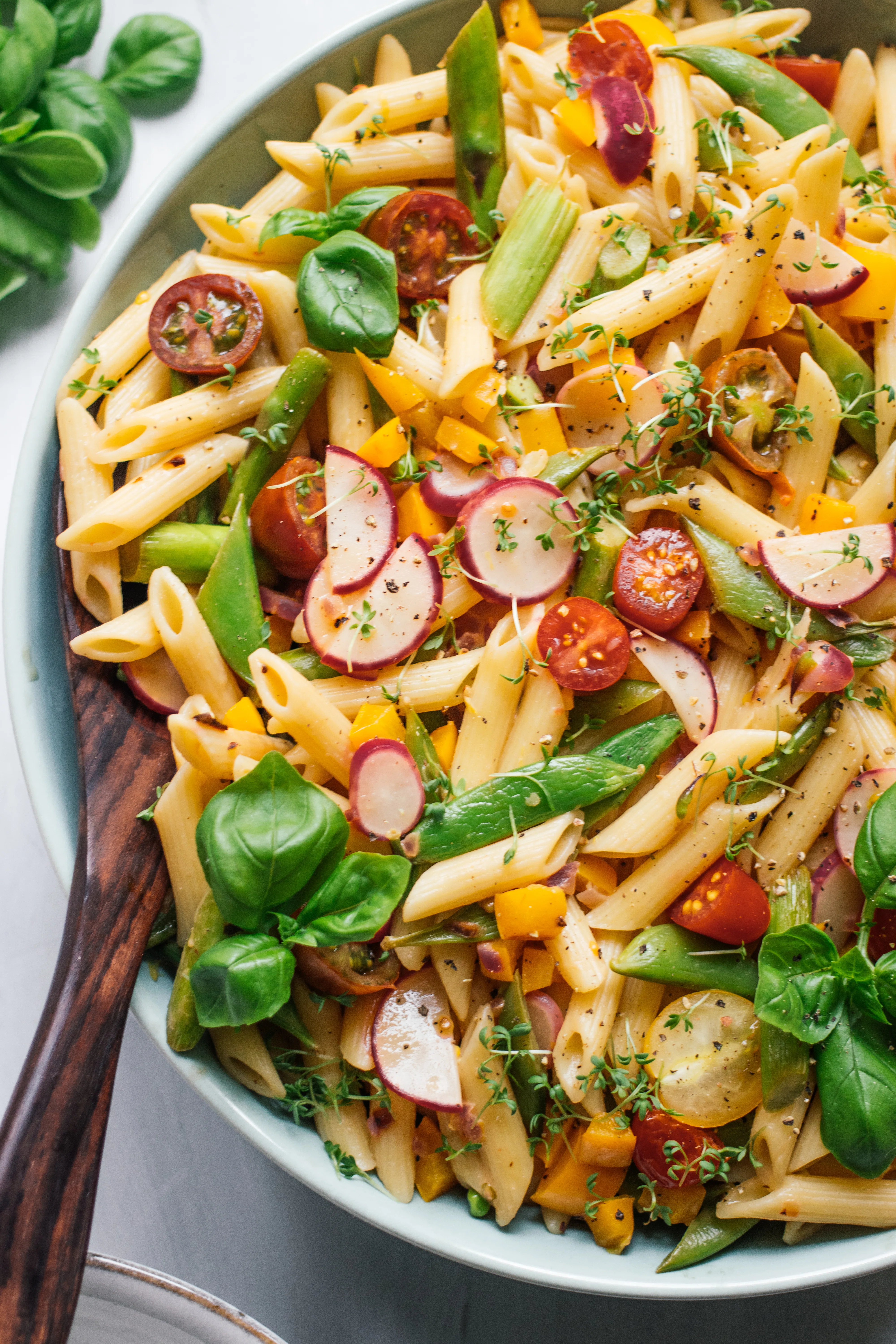 R498 Vegan Pasta Primavera