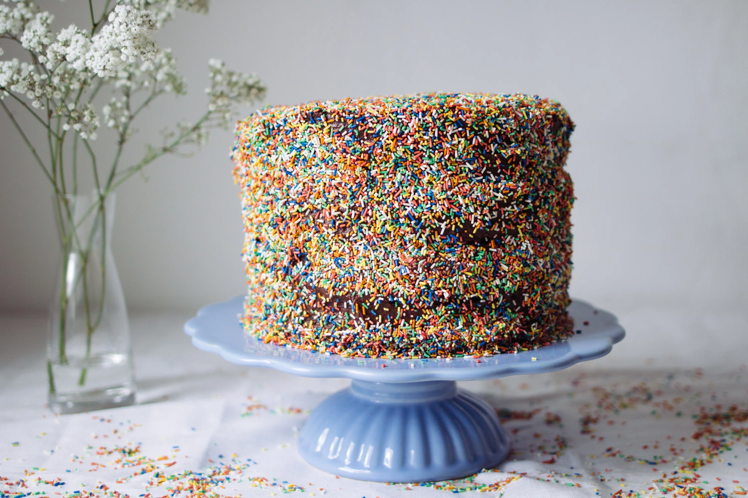 Veganer Schokokuchen mit bunten Streuseln