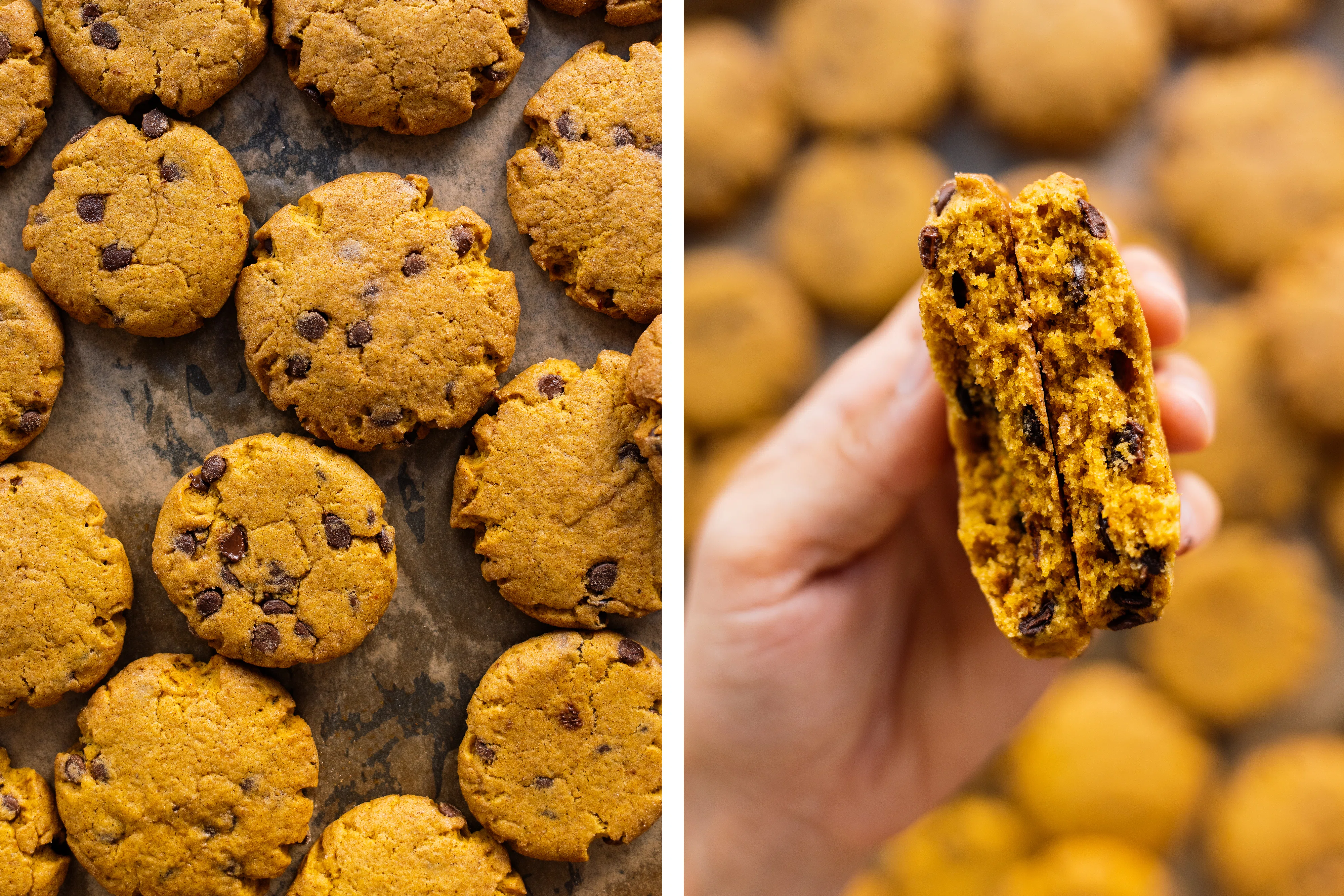 R210 Vegan Snickerdoodles with Pumpkin