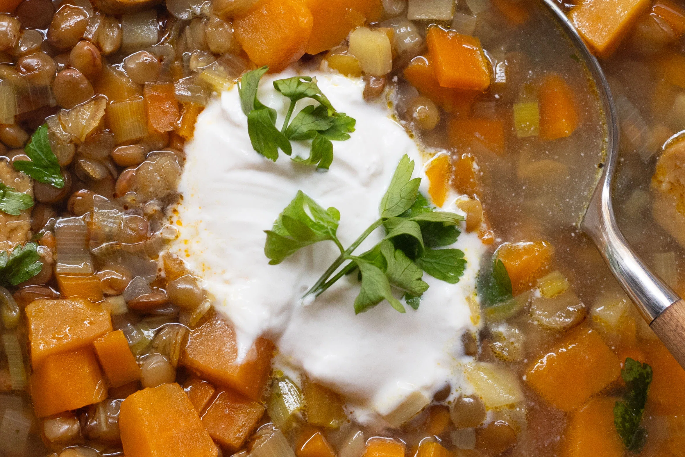R931 - Vegan Lentil Stew