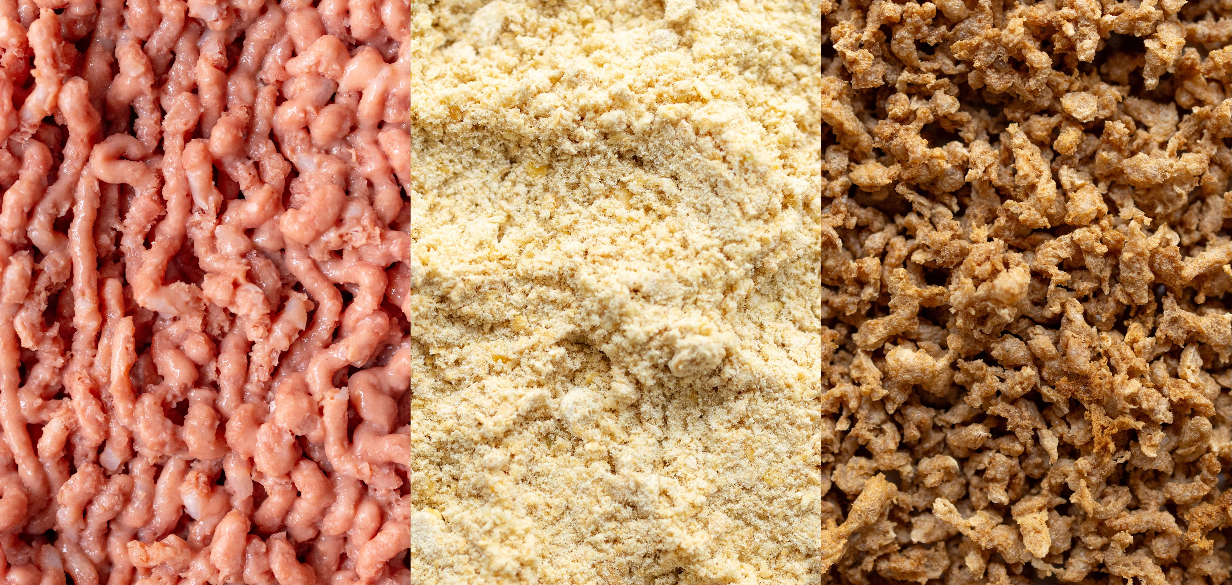 A203 Veganer Mince Article