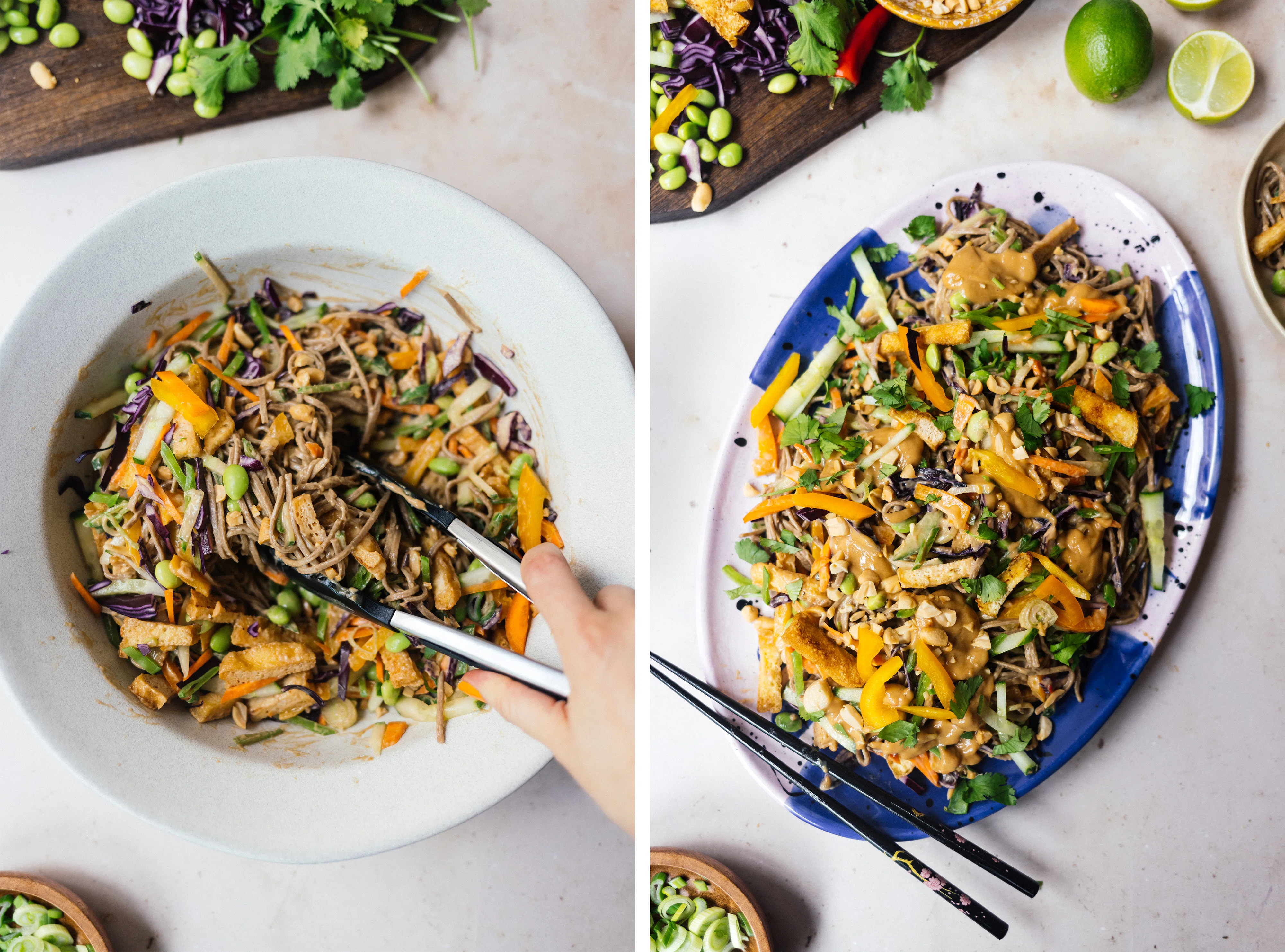 R826 Vegan Soba Noodle Summer Roll Salad