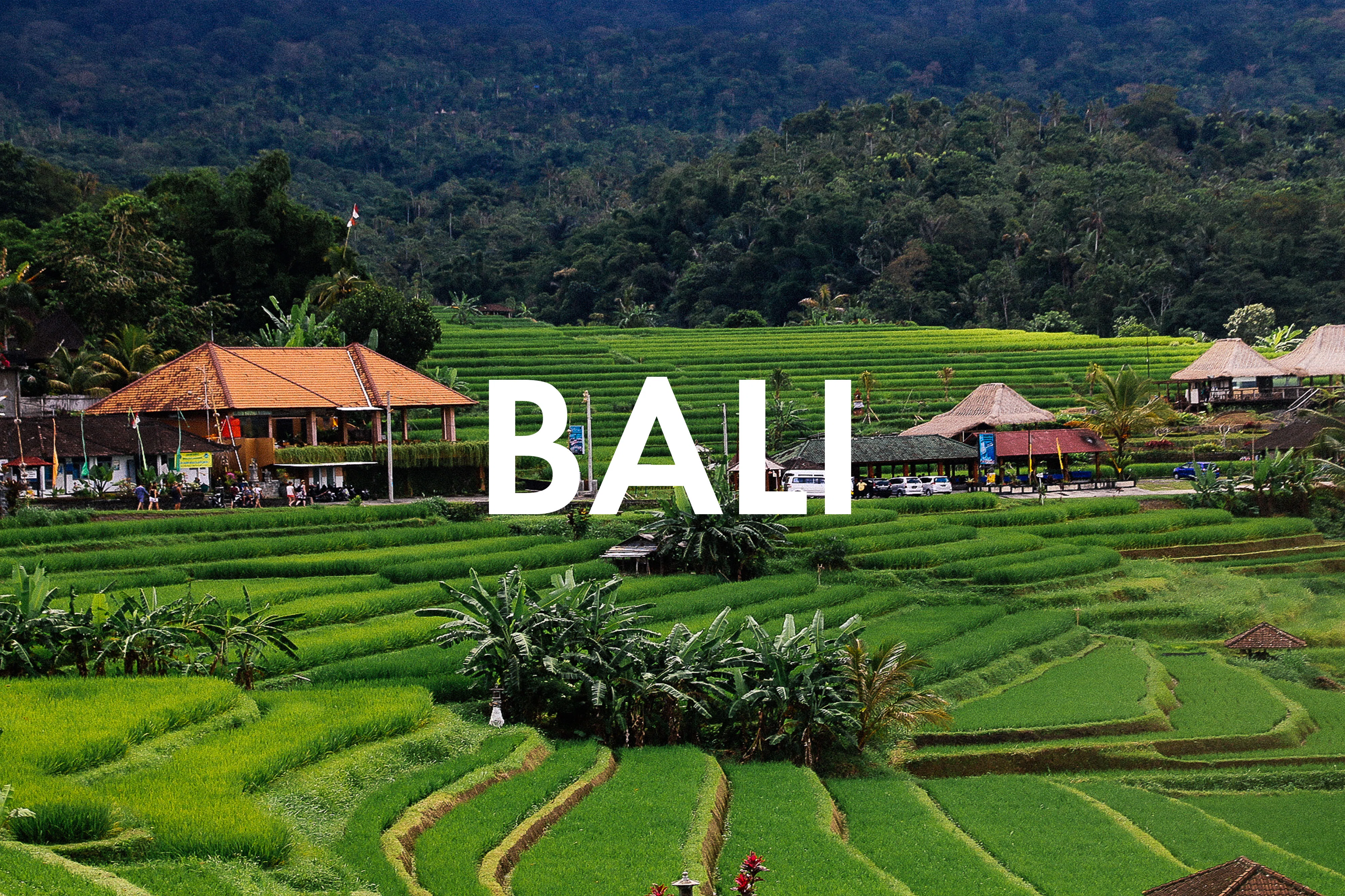 Vegan Essen in Bali: Unsere liebsten Restaurants