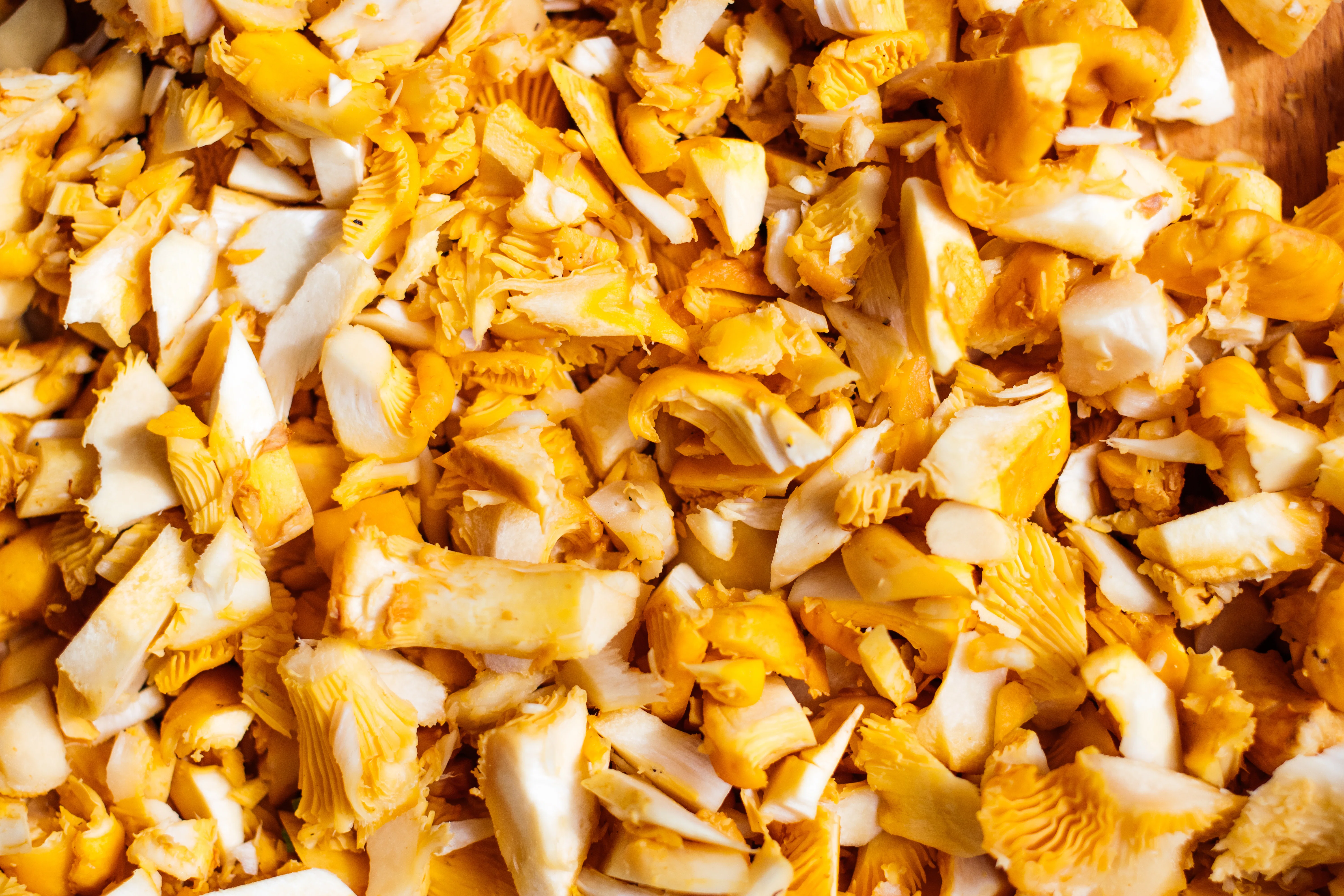 R231 Pfifferling-Lauch-Quiche