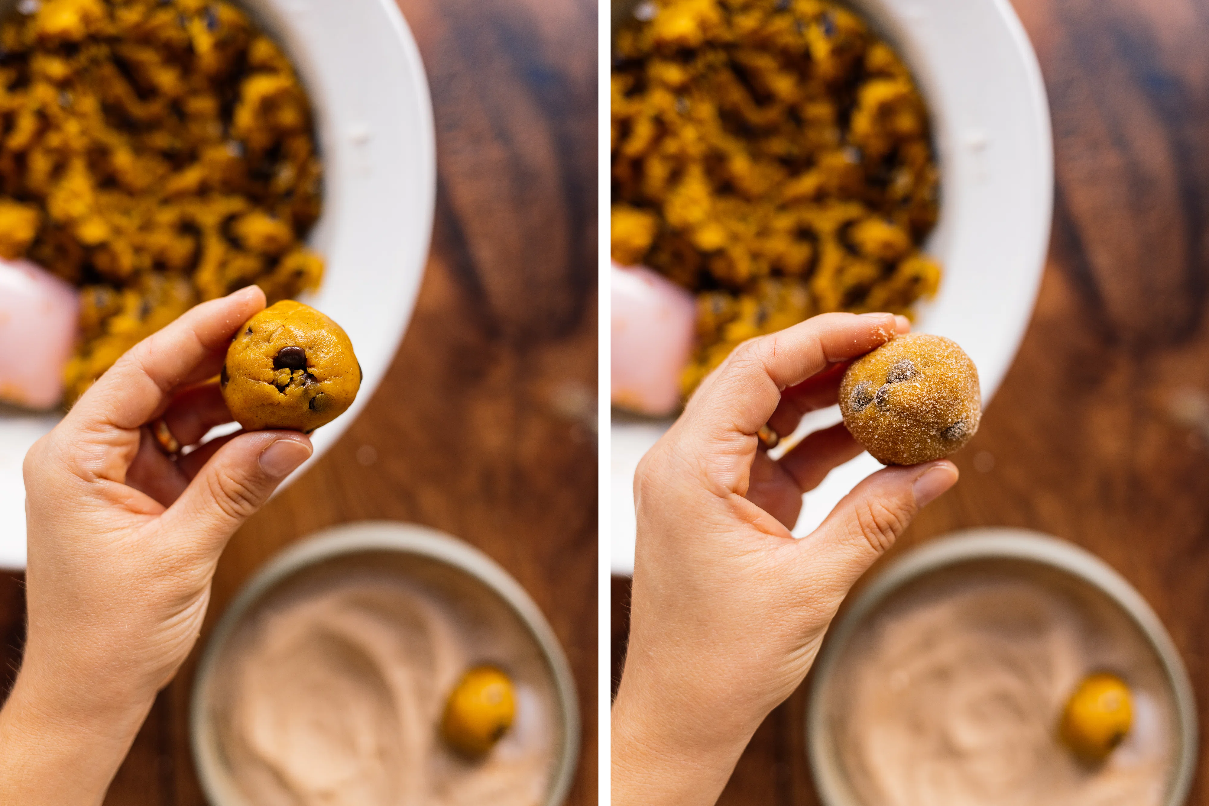 R210 Vegan Snickerdoodles with Pumpkin