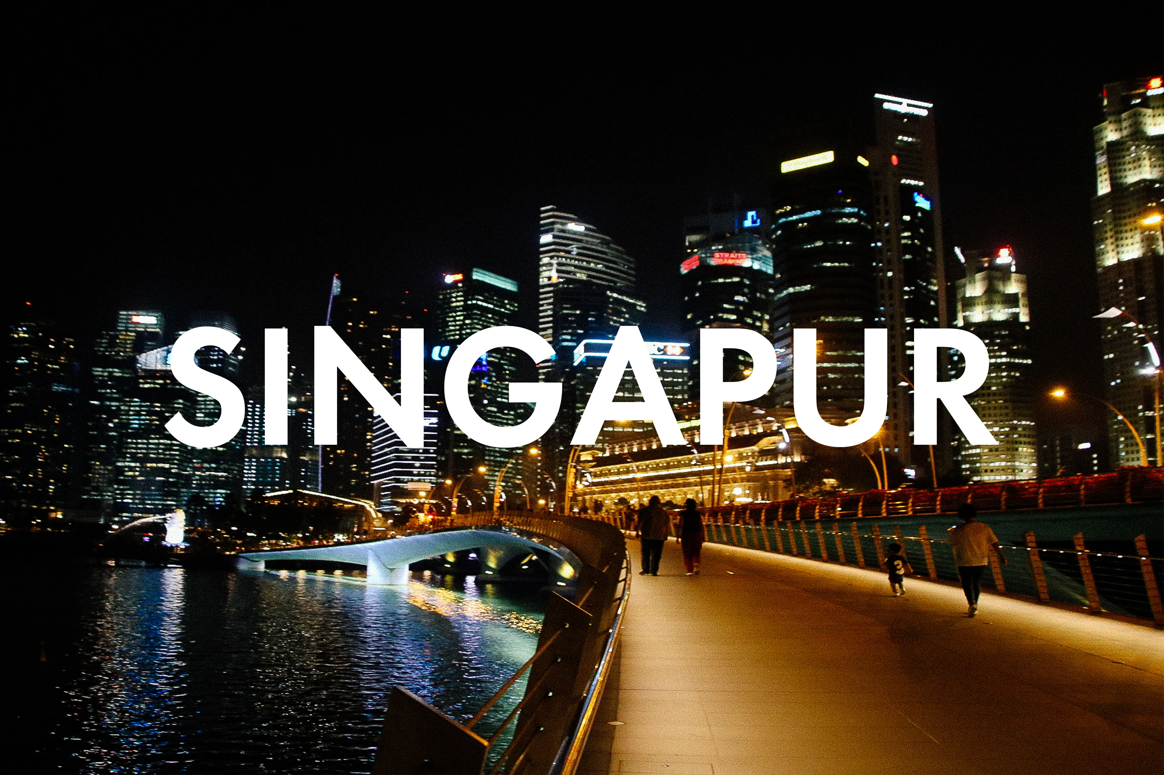 Vegan Essen in Singapur: Unsere liebsten Restaurants