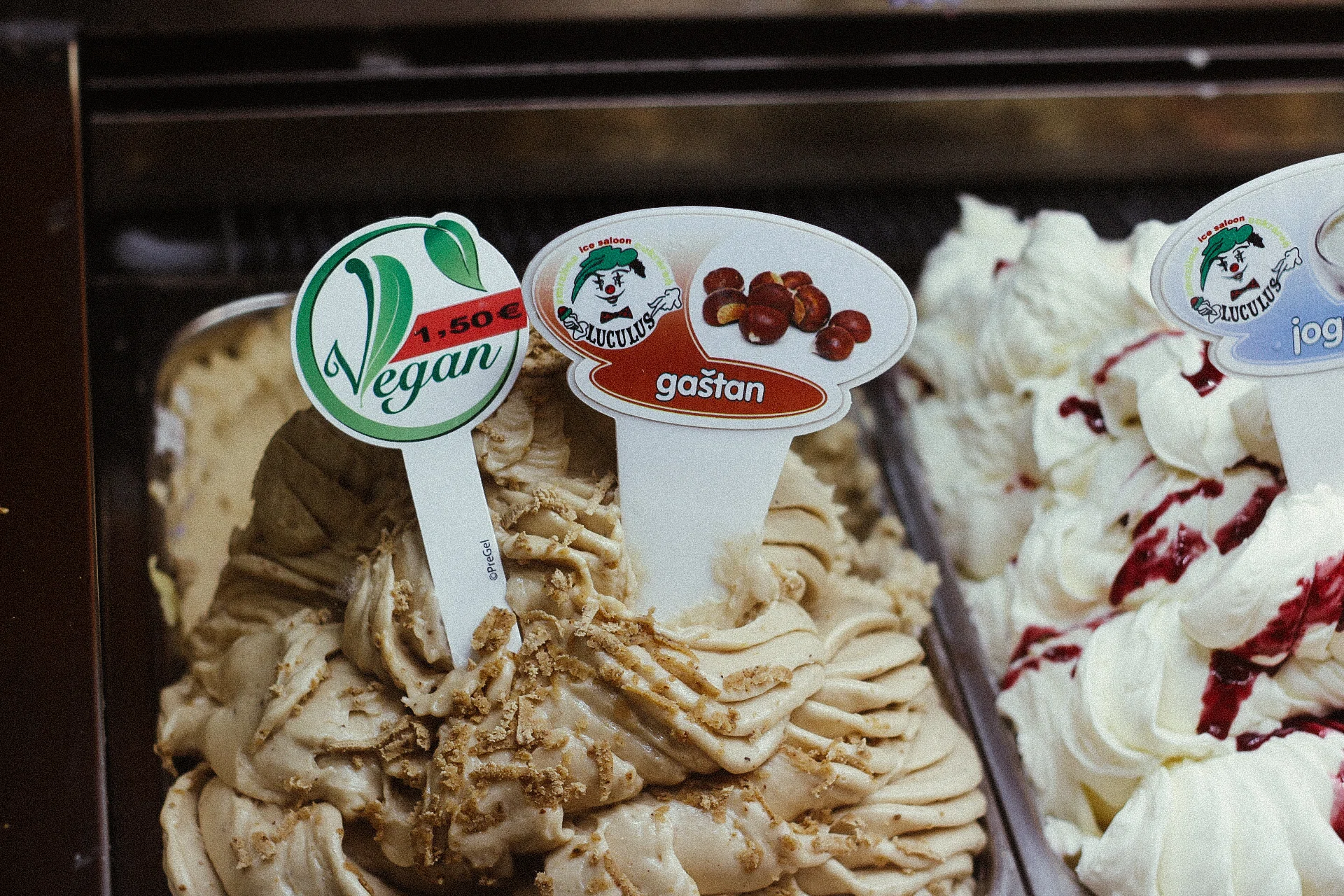 A14 Out and About in Bratislava