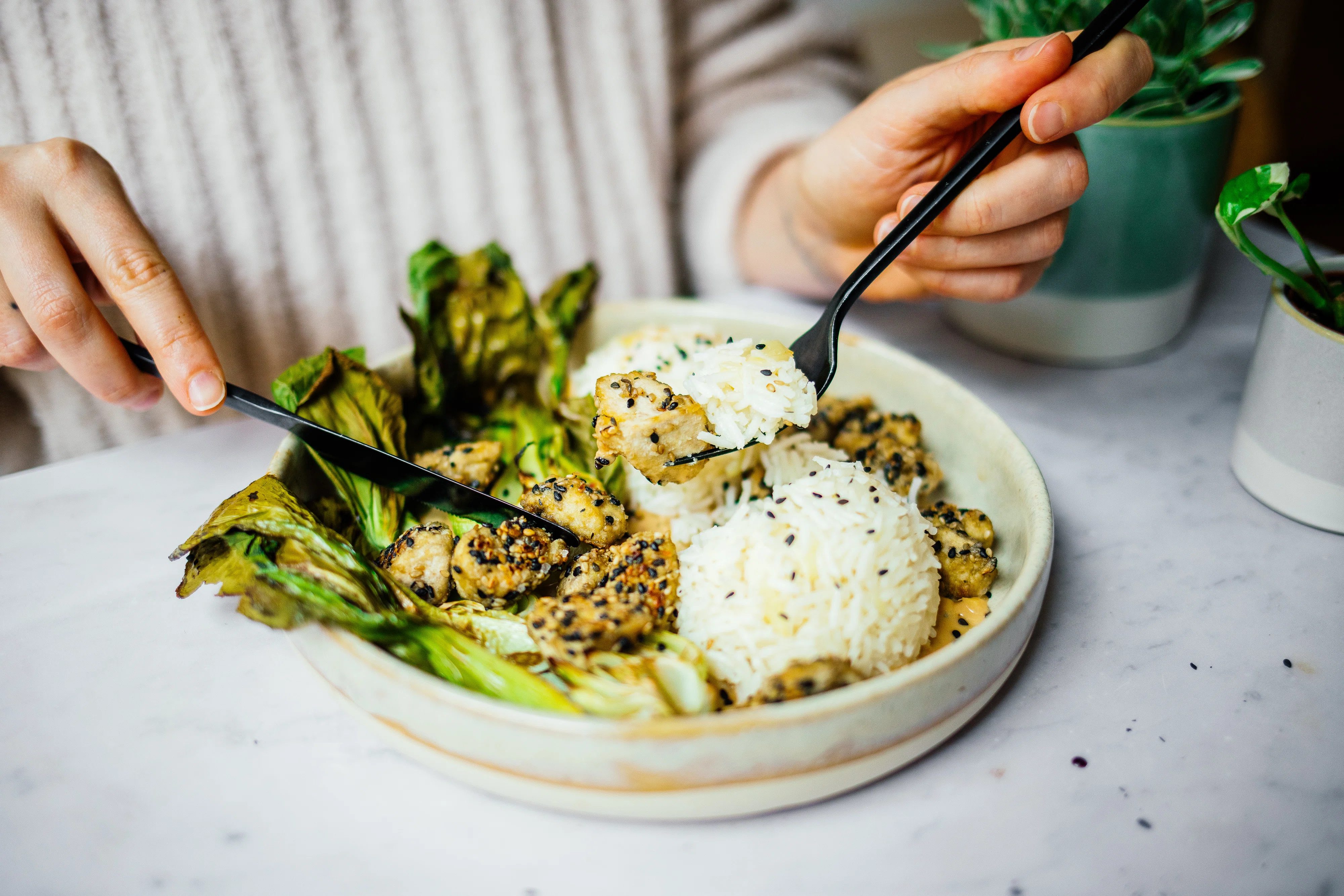 R705 Knusprige Tofustückchen mit Knoblauch-Reis und Pak Choi
