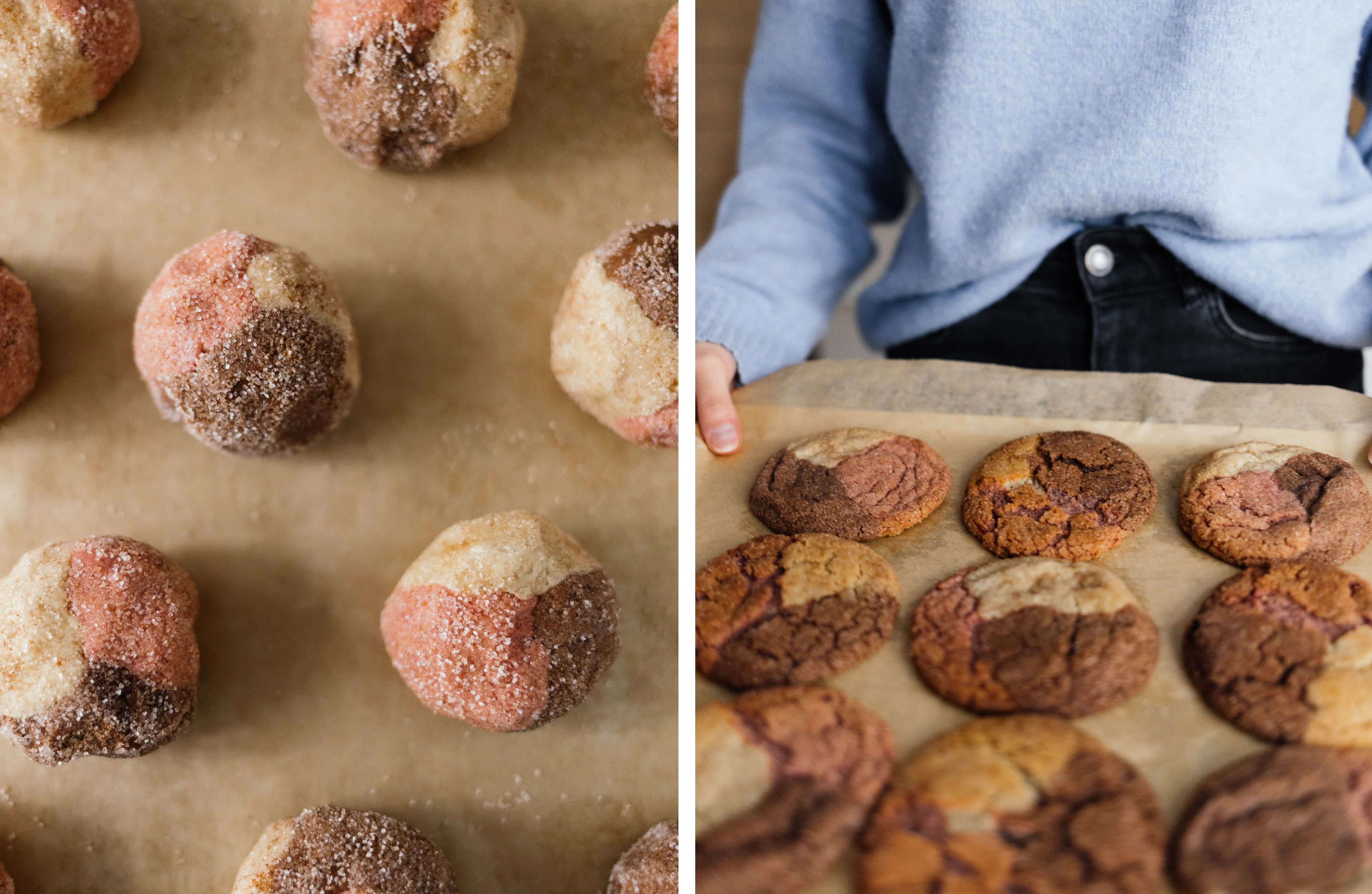 R794 Vegan Neapolitan Cookies