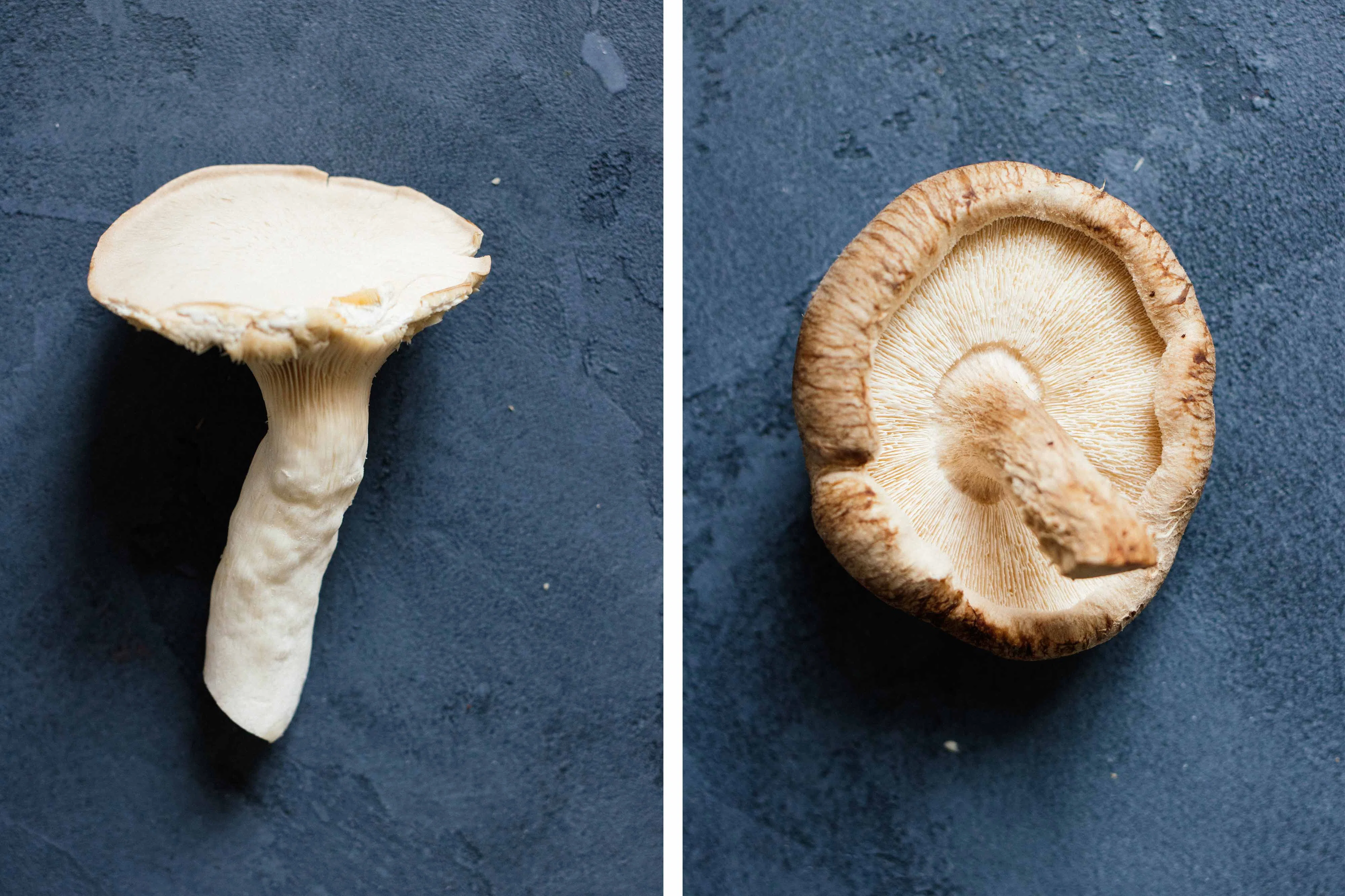 R211 Creamy Mushroom Ragout with Rice