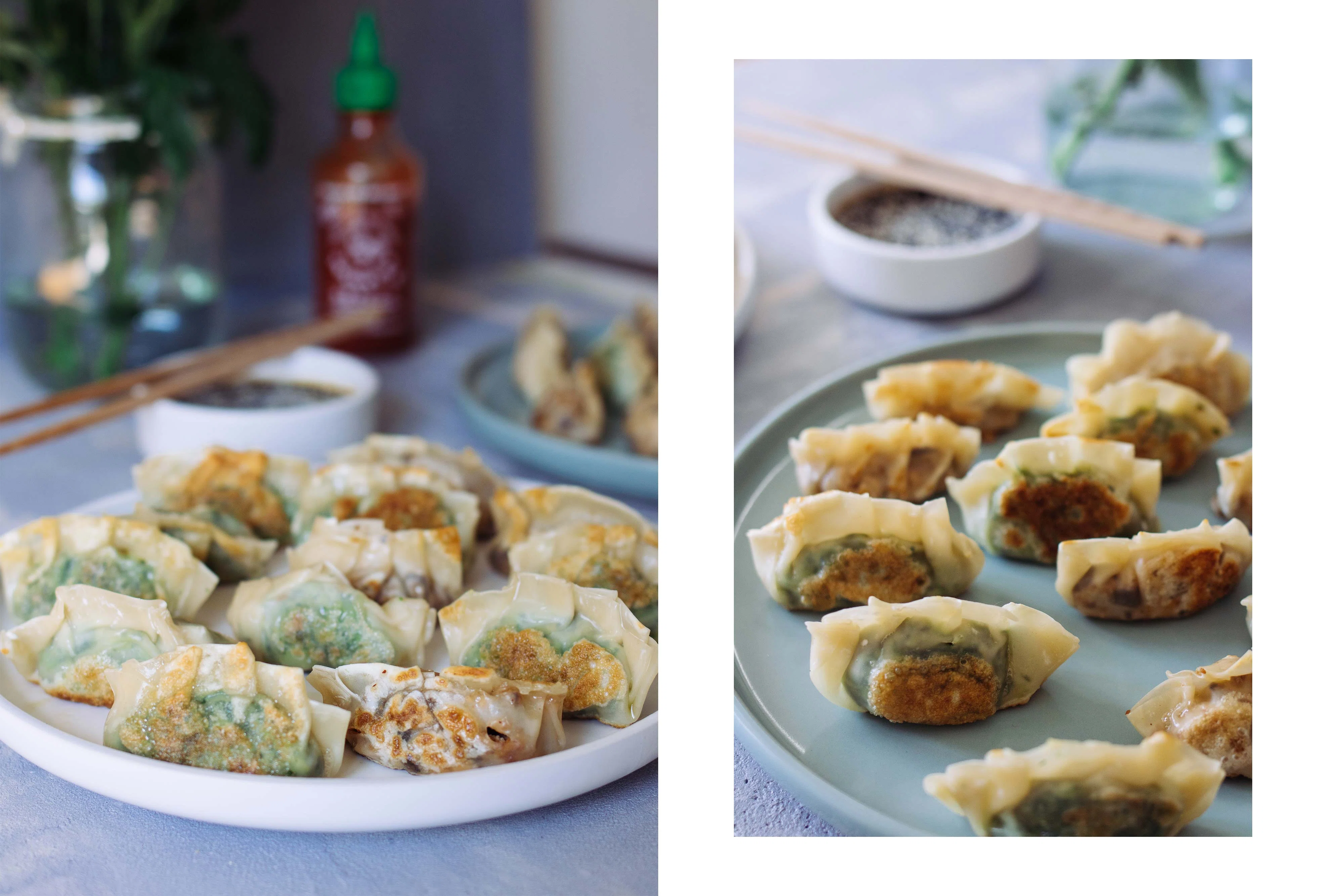 R196 Japanische Gyozas