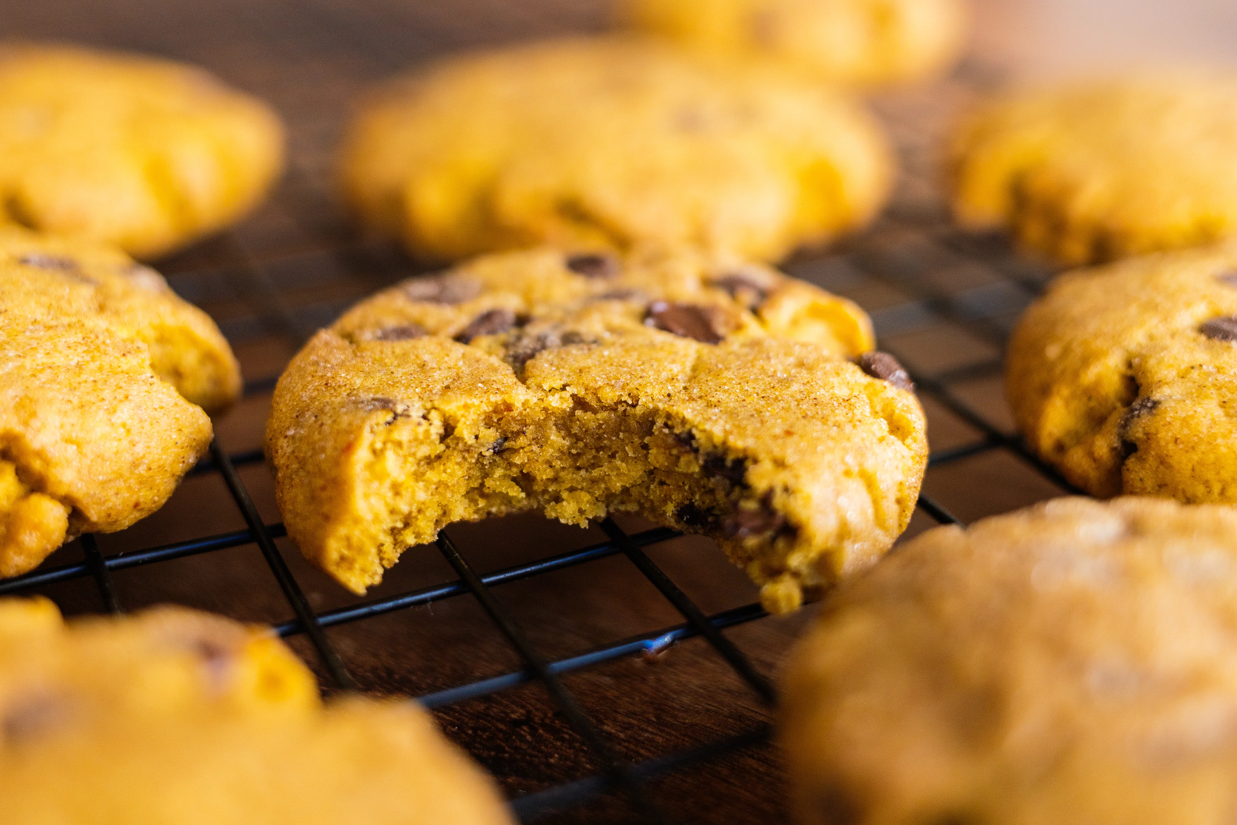 R210 Vegan Snickerdoodles with Pumpkin