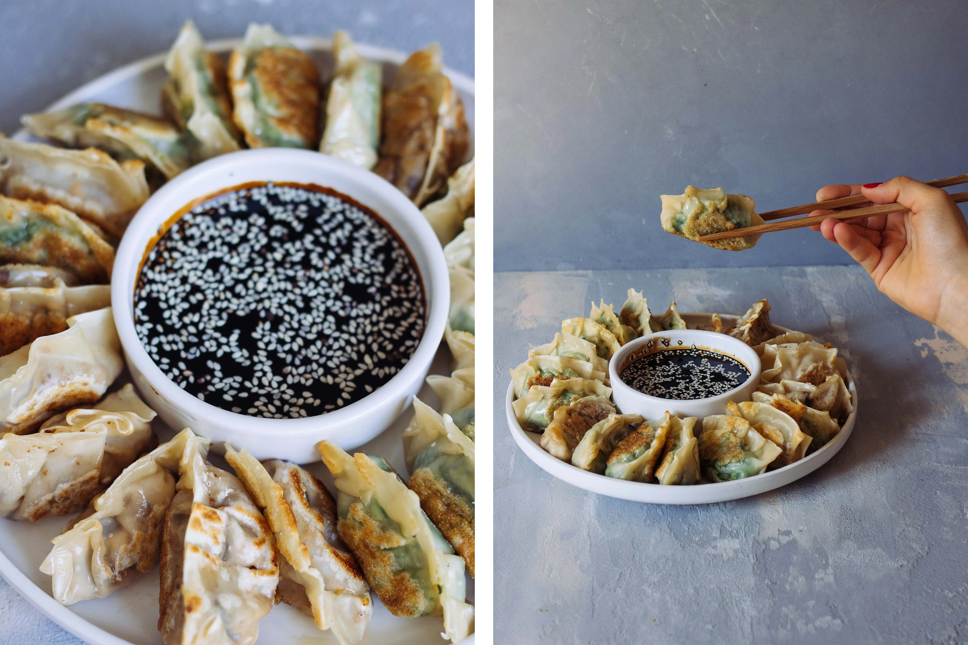 R196 Japanische Gyozas