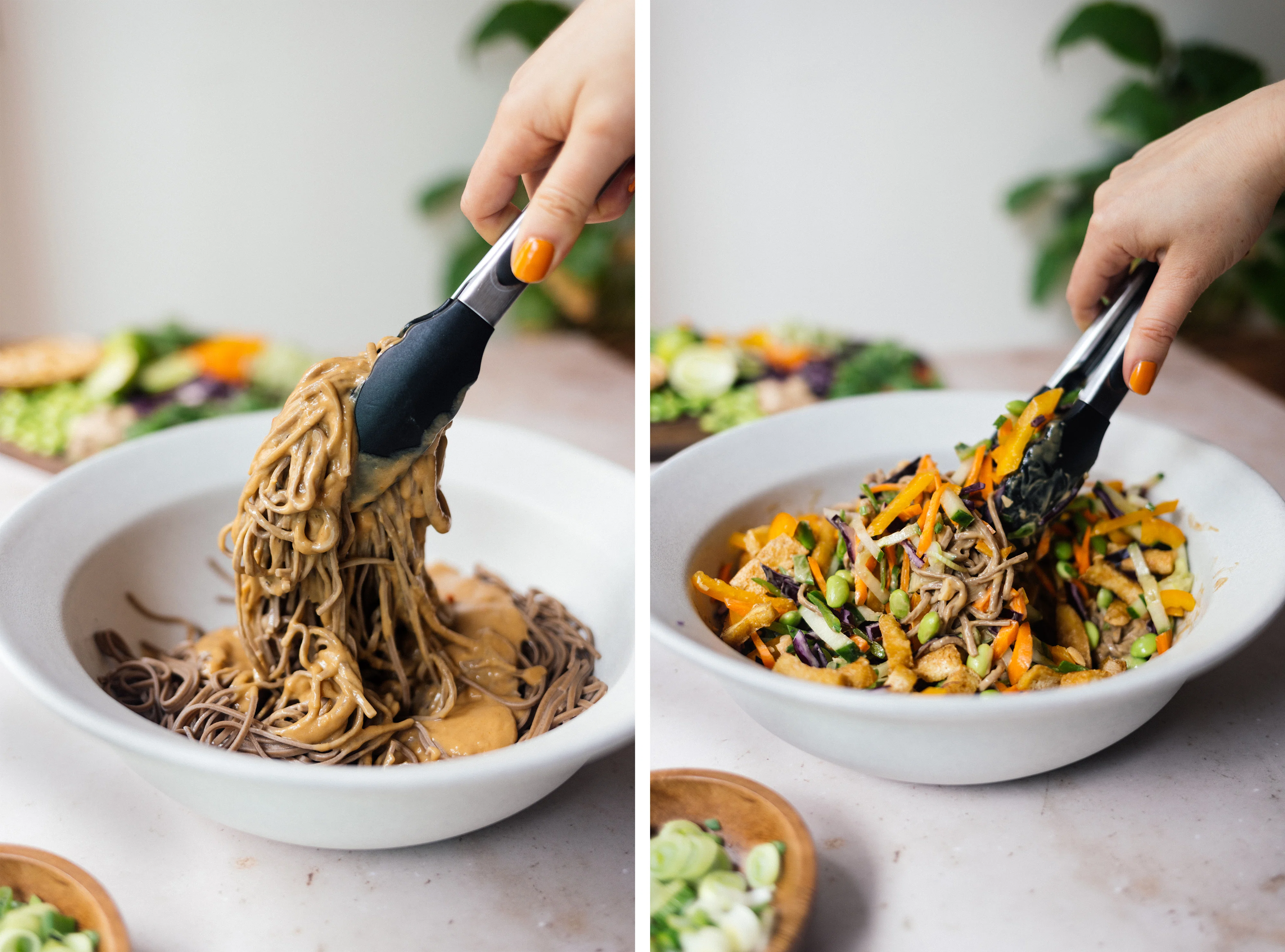 R826 Vegan Soba Noodle Summer Roll Salad