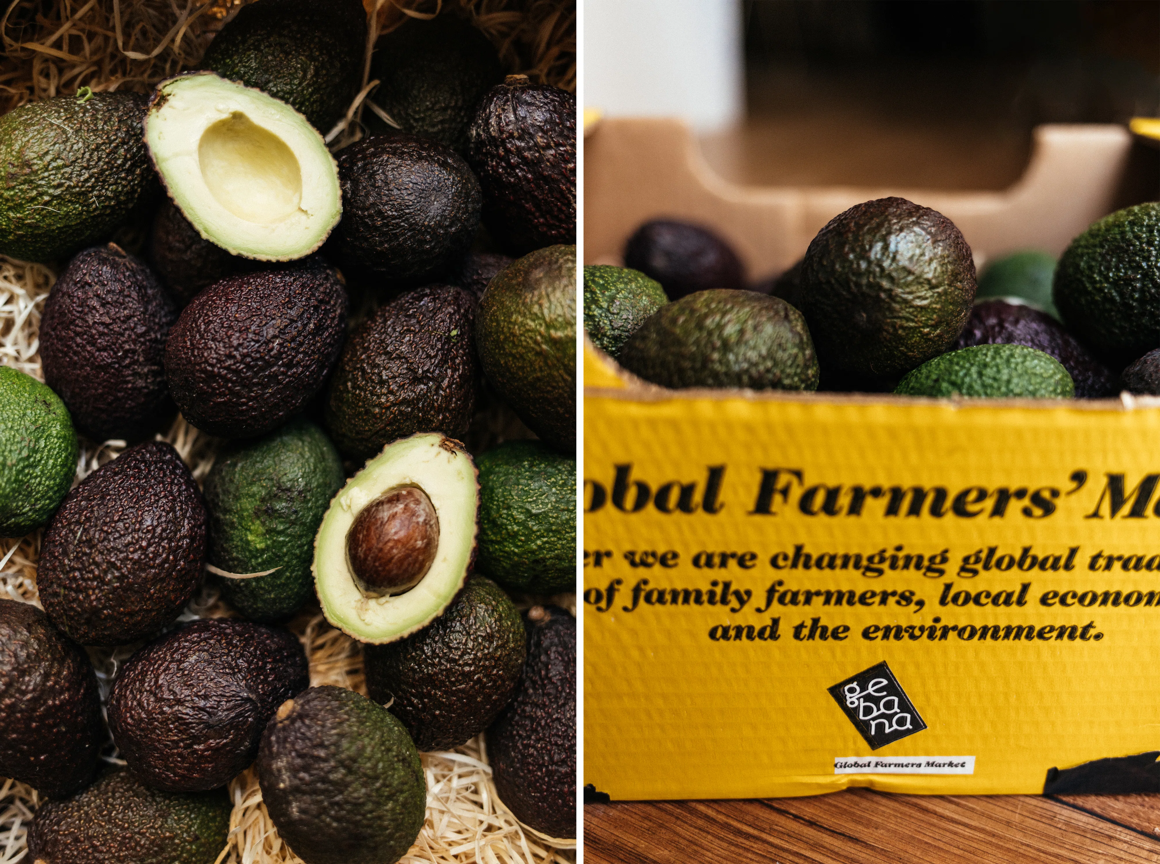 R796 Avocado Cucumber Salad with Grapefruit and Tofu