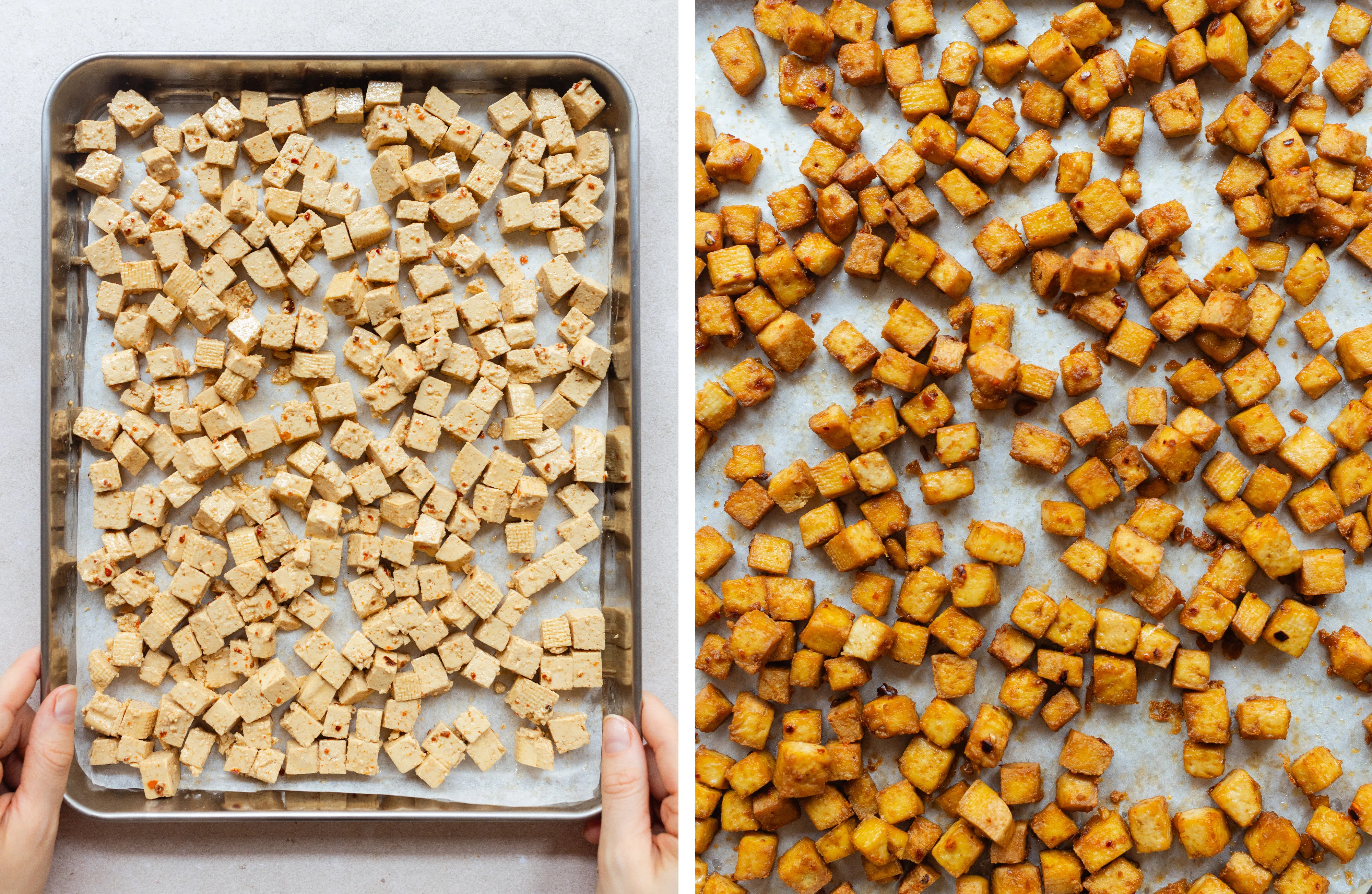 R940 Veganer Stir Fried Reis mit Tofu