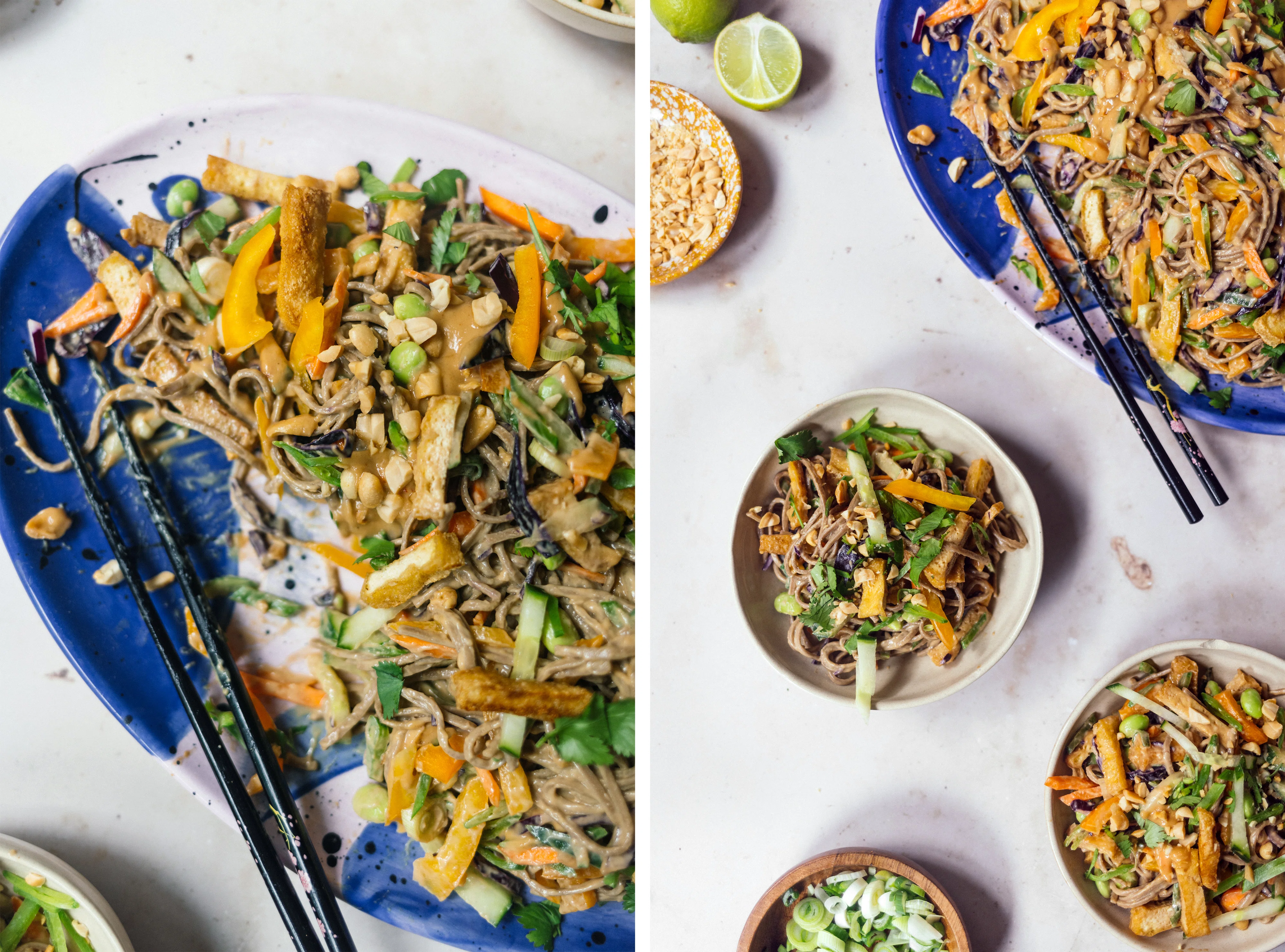 R826 Vegan Soba Noodle Summer Roll Salad