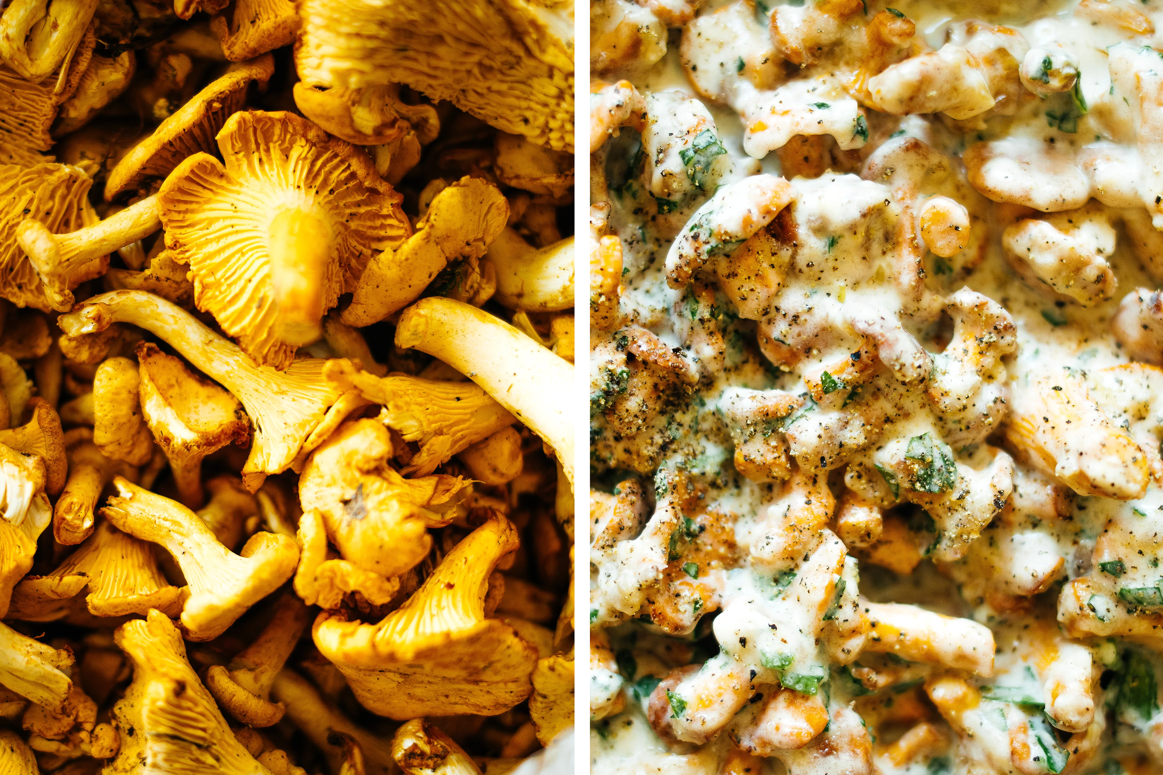 R573 Vegane Brezenknödel mit Pfifferlingsragout