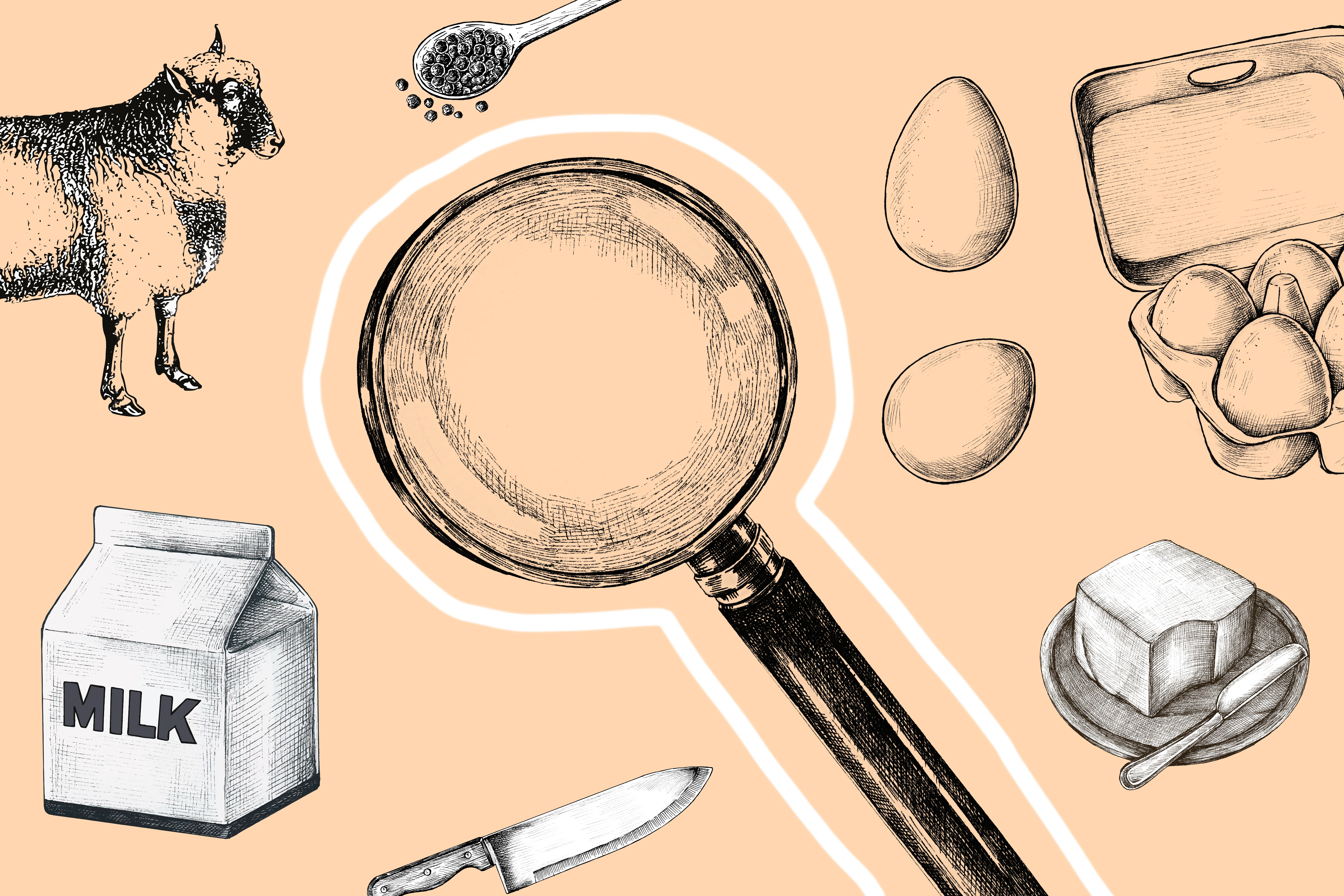 Non-Vegan Ingredients to Look Out For