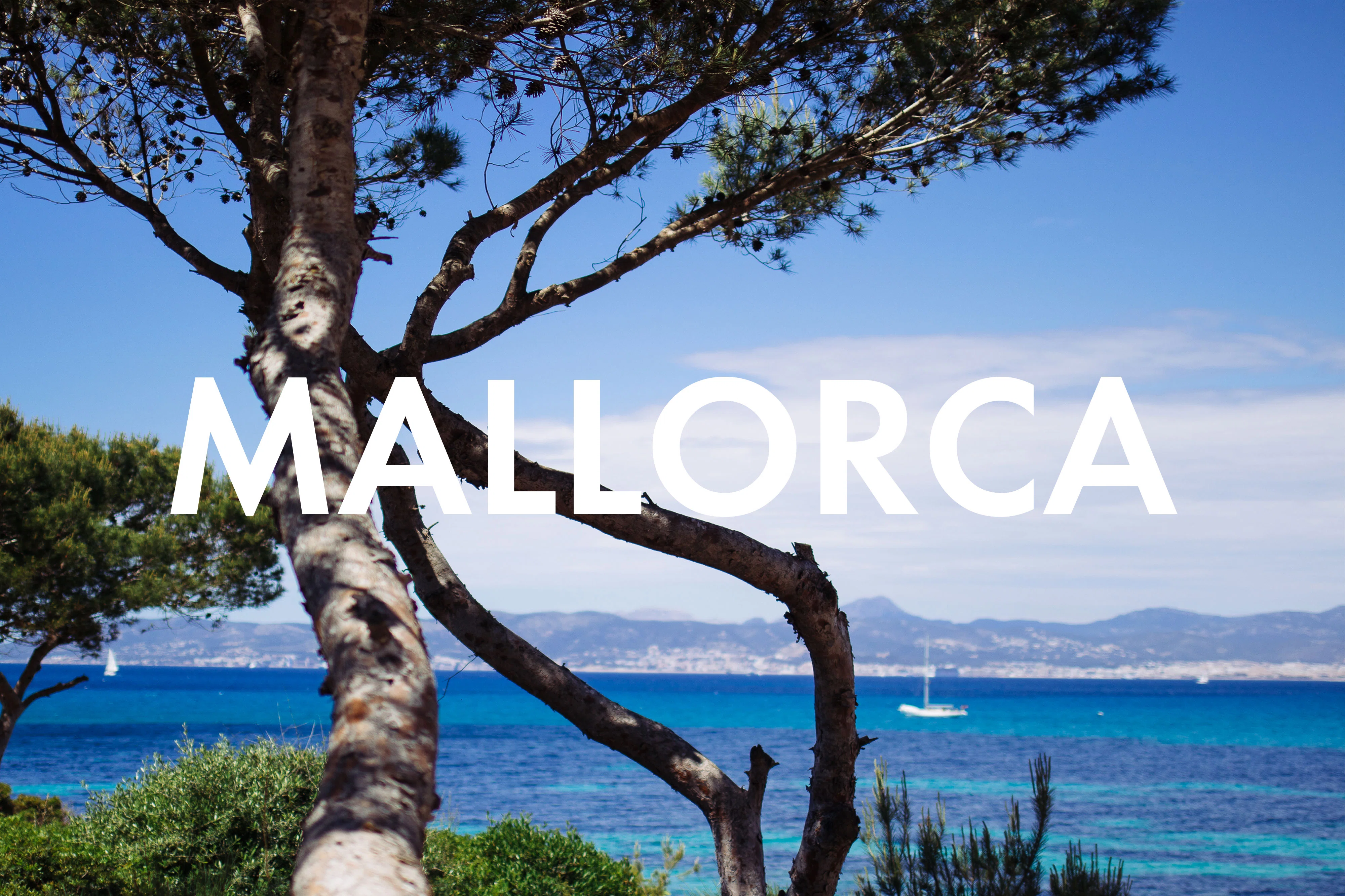 Vegan Essen in Mallorca: Unsere liebsten Restaurants