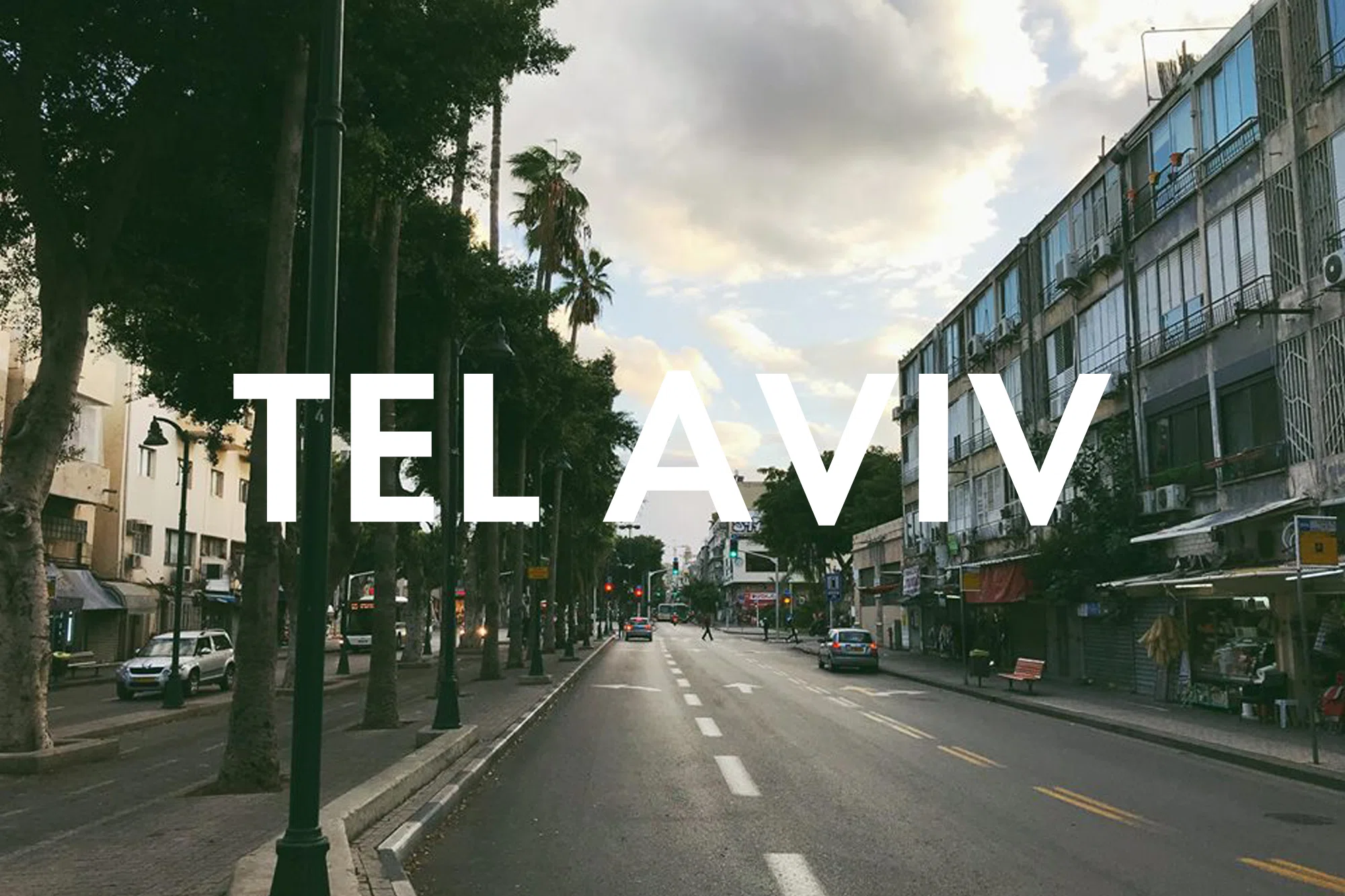 Vegan Essen in Tel Aviv: Unsere liebsten Restaurants