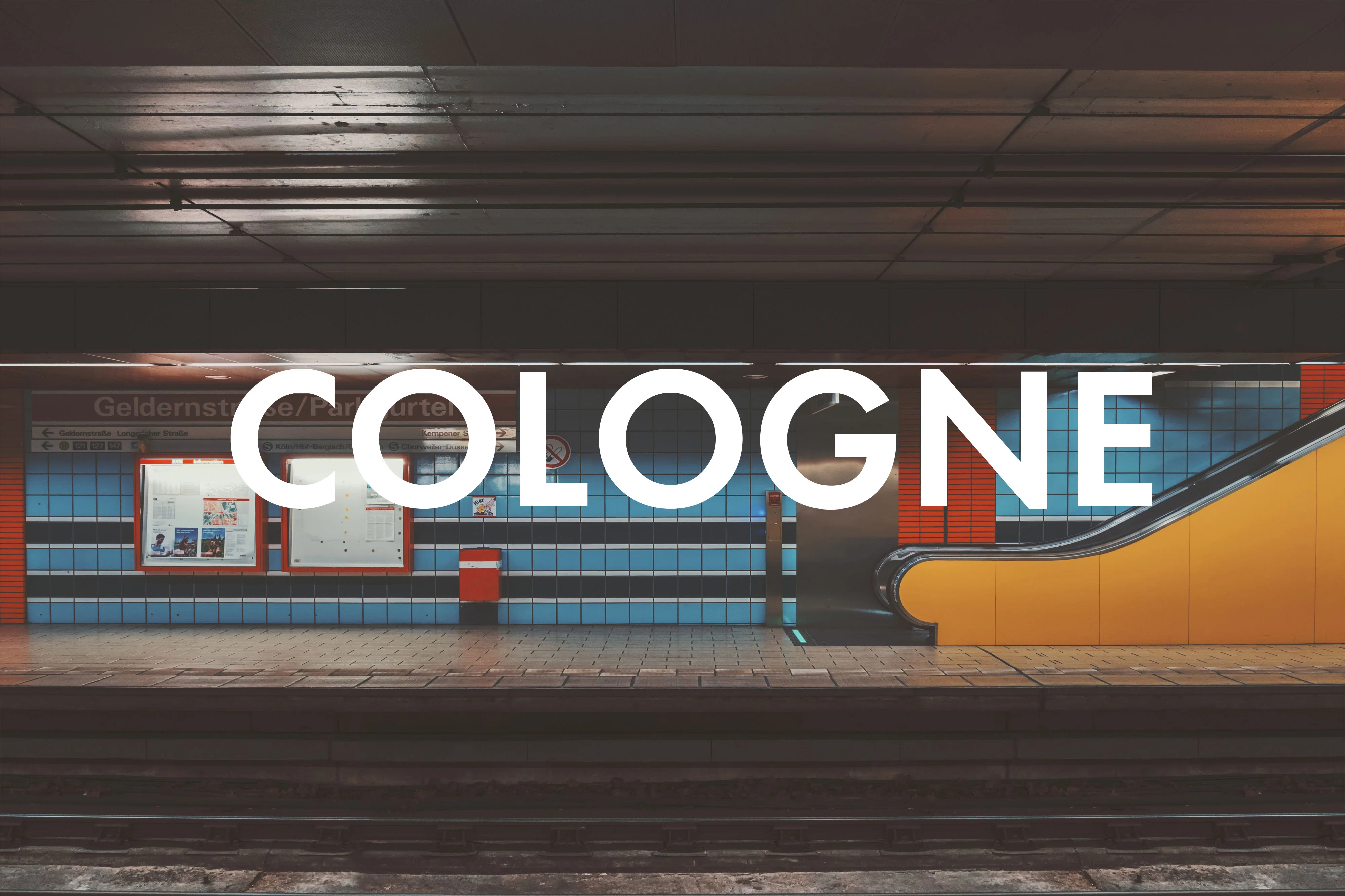 How to Eat Vegan in Cologne: Our favorite restaurants