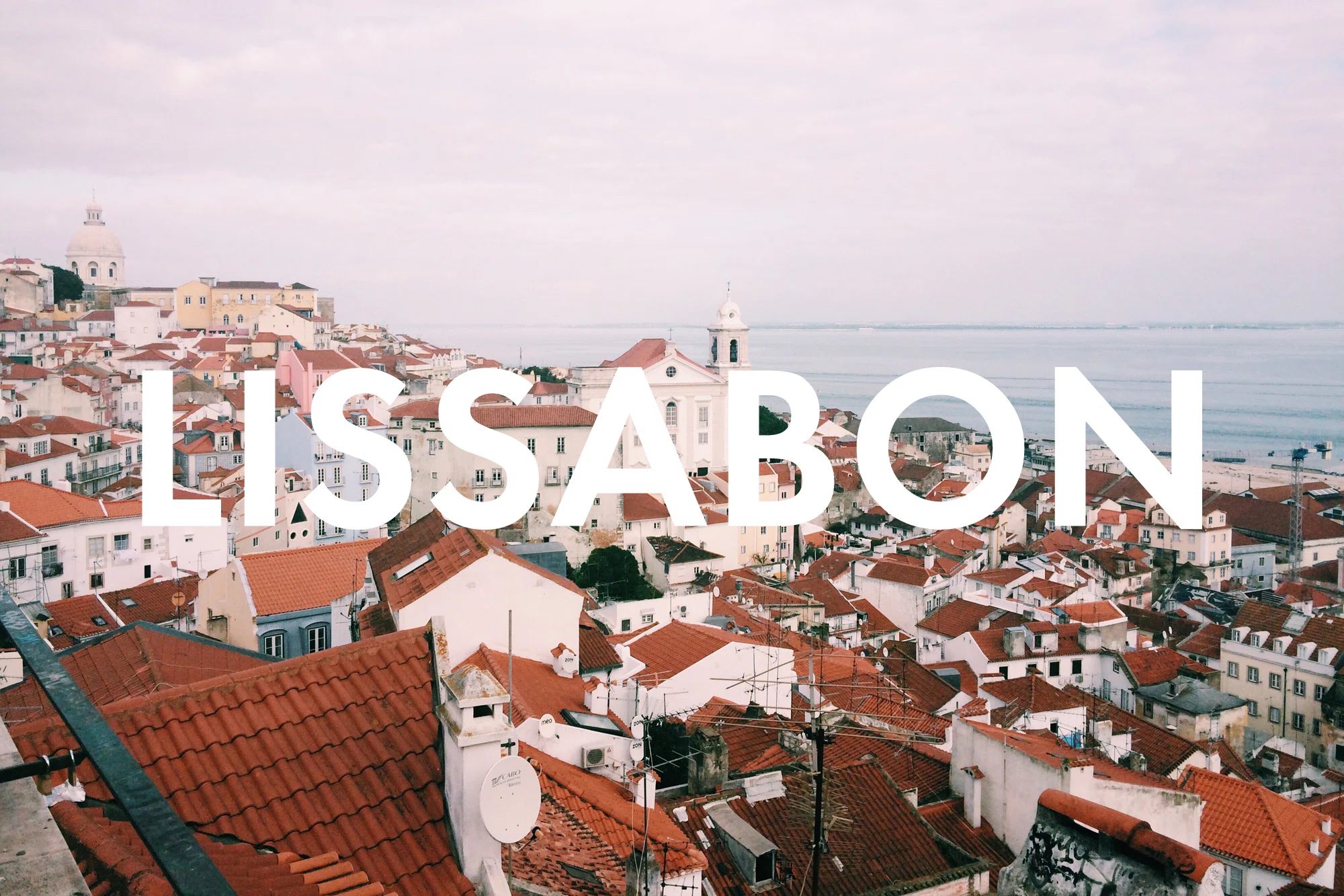 Vegan Essen in Lissabon: Unsere liebsten Restaurants